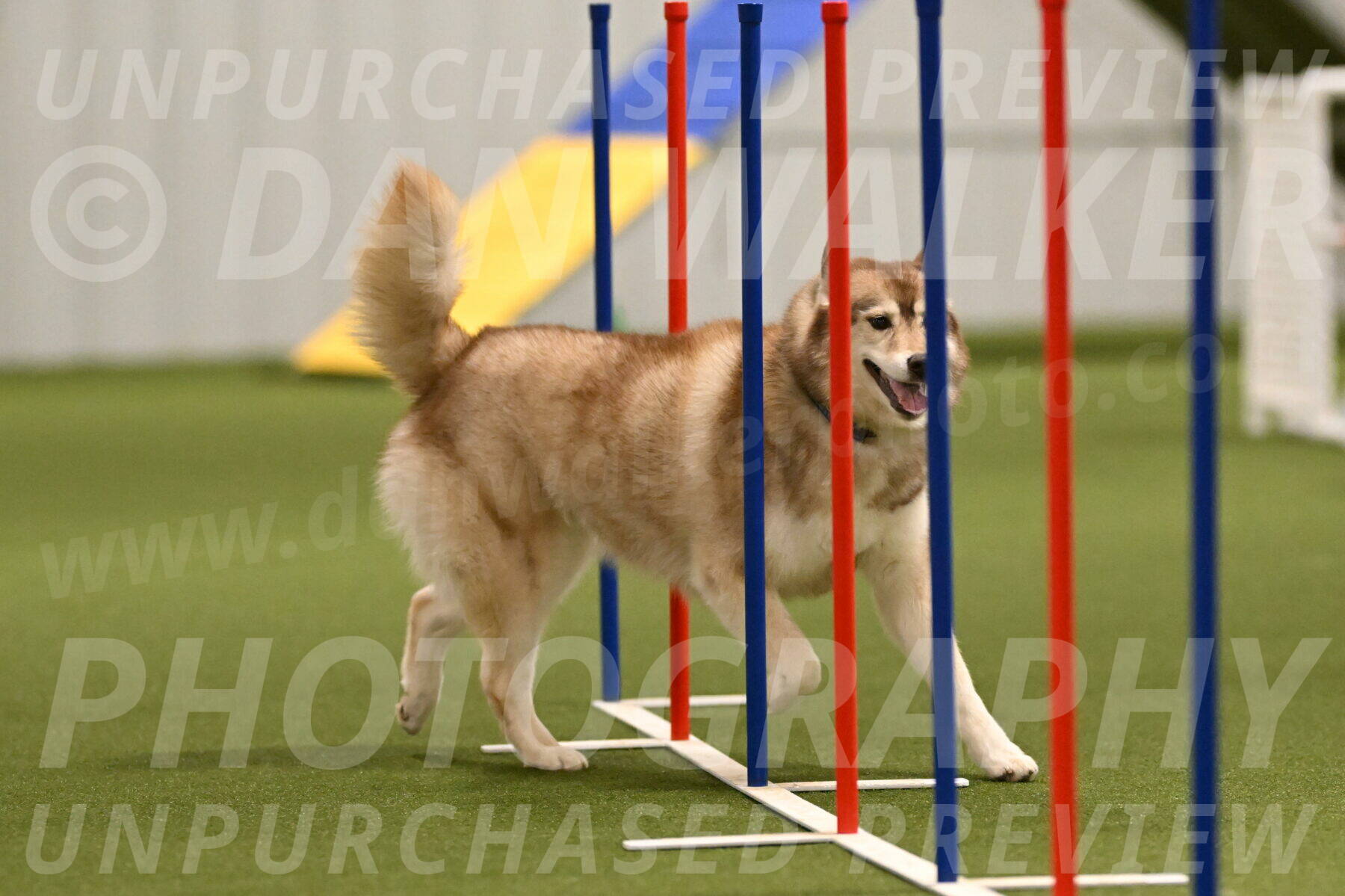 Teva-Jamie-Thompson-04158