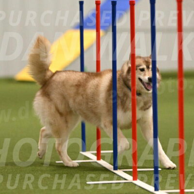 Teva-Jamie-Thompson-04158