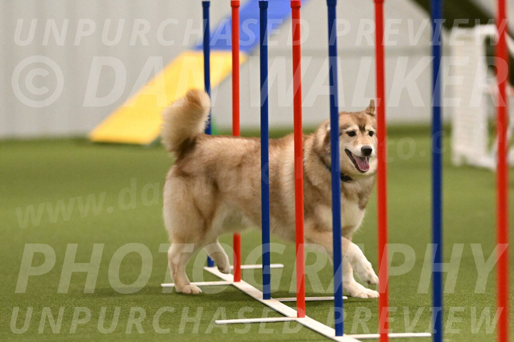 Teva-Jamie-Thompson-04159