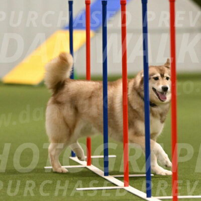 Teva-Jamie-Thompson-04159