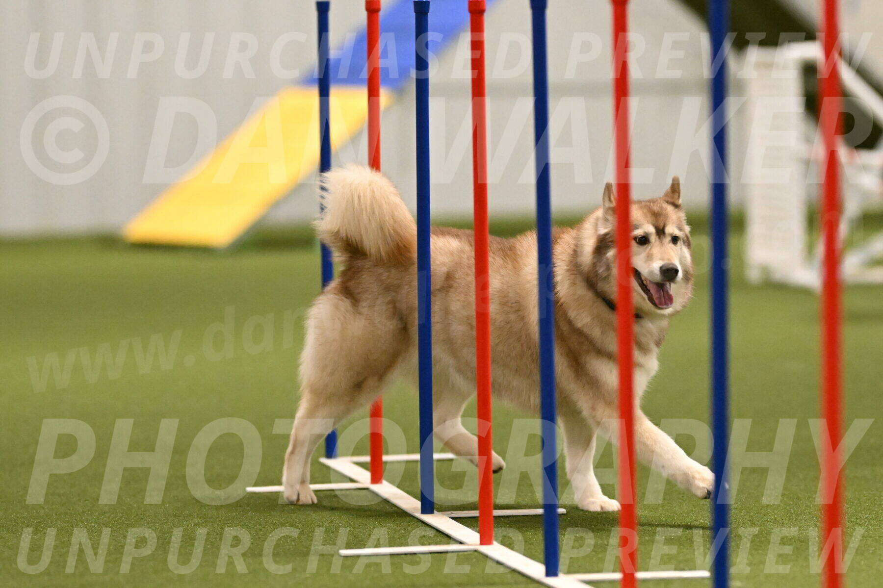 Teva-Jamie-Thompson-04160