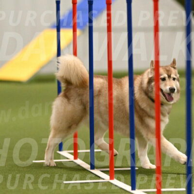 Teva-Jamie-Thompson-04160