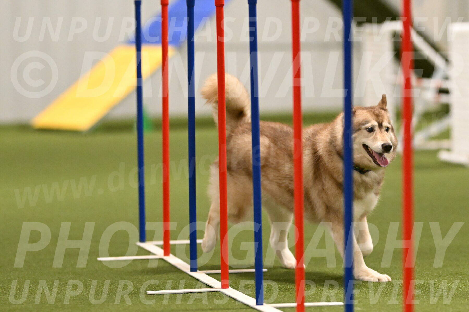 Teva-Jamie-Thompson-04161