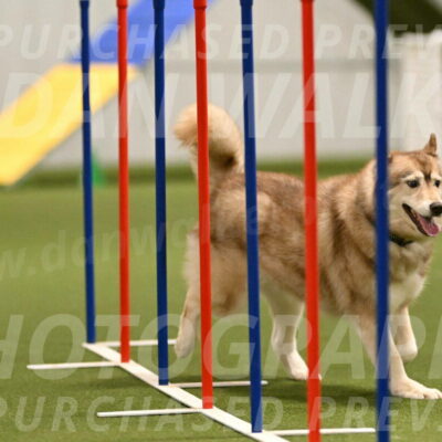 Teva-Jamie-Thompson-04161