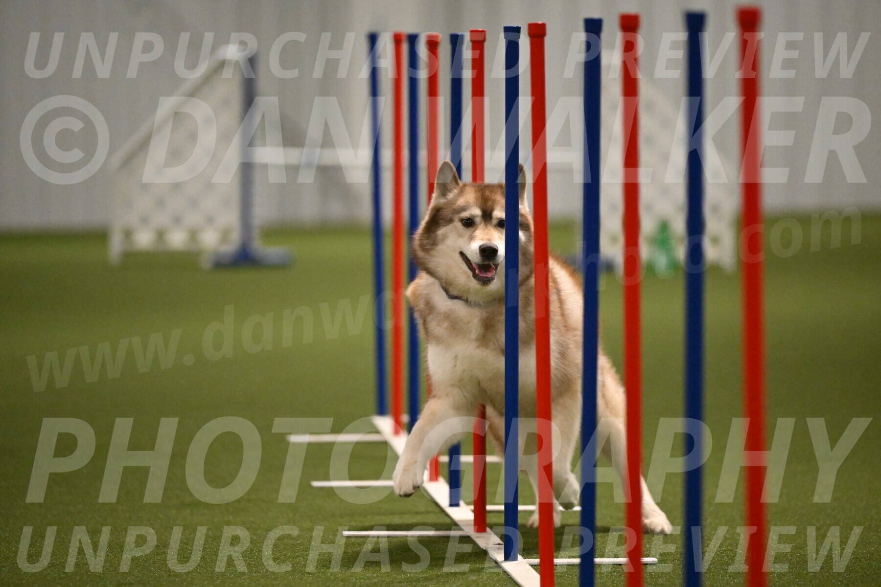 Teva-Jamie-Thompson-04162