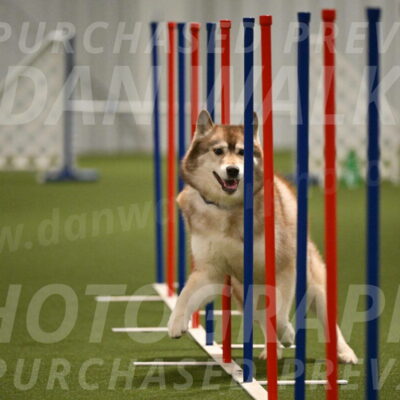 Teva-Jamie-Thompson-04162