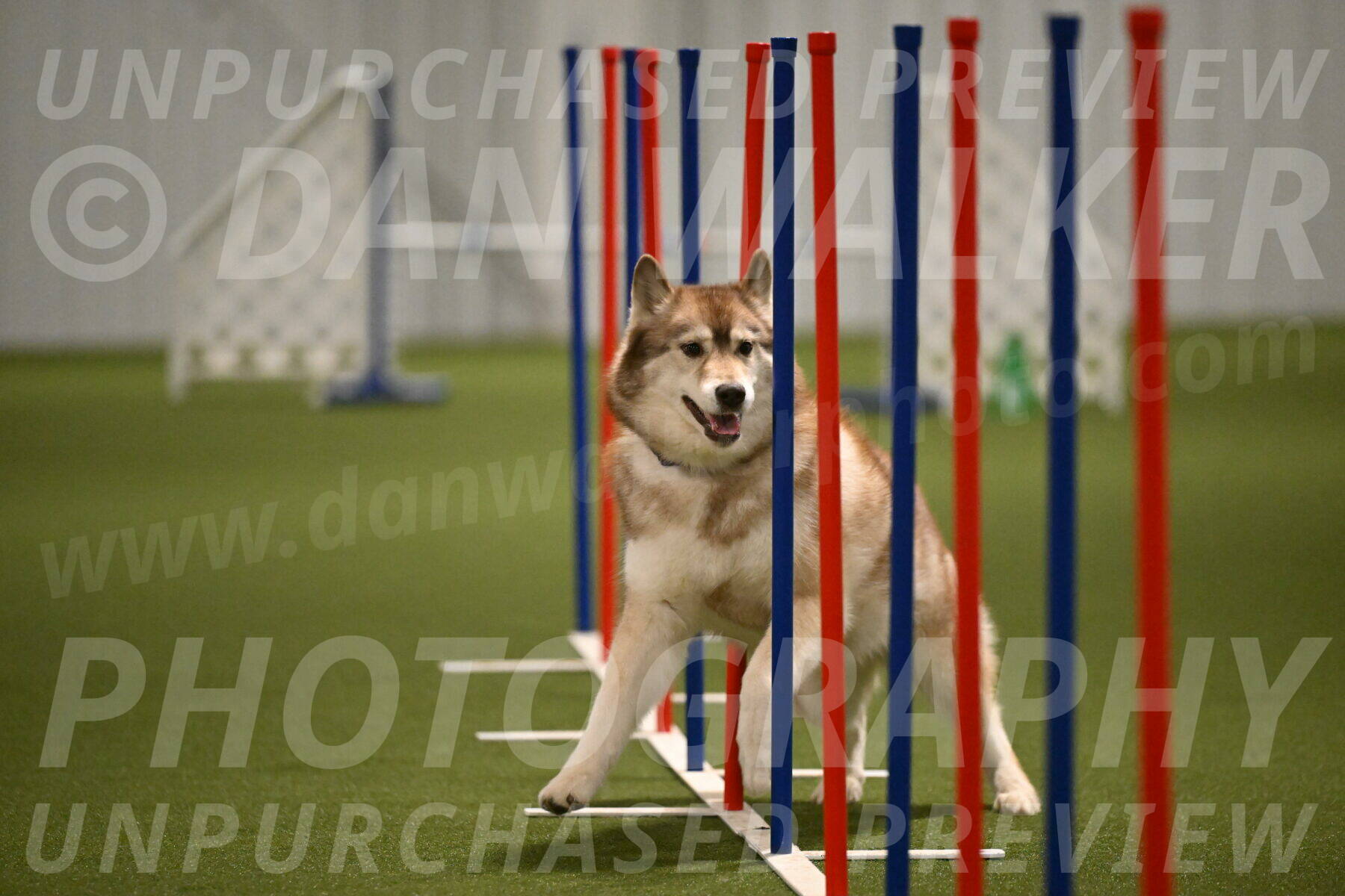 Teva-Jamie-Thompson-04163