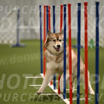 Teva-Jamie-Thompson-04163