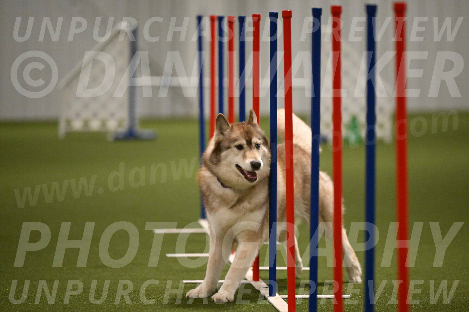 Teva-Jamie-Thompson-04164