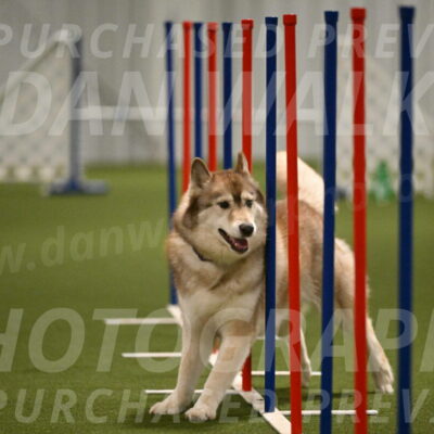 Teva-Jamie-Thompson-04164