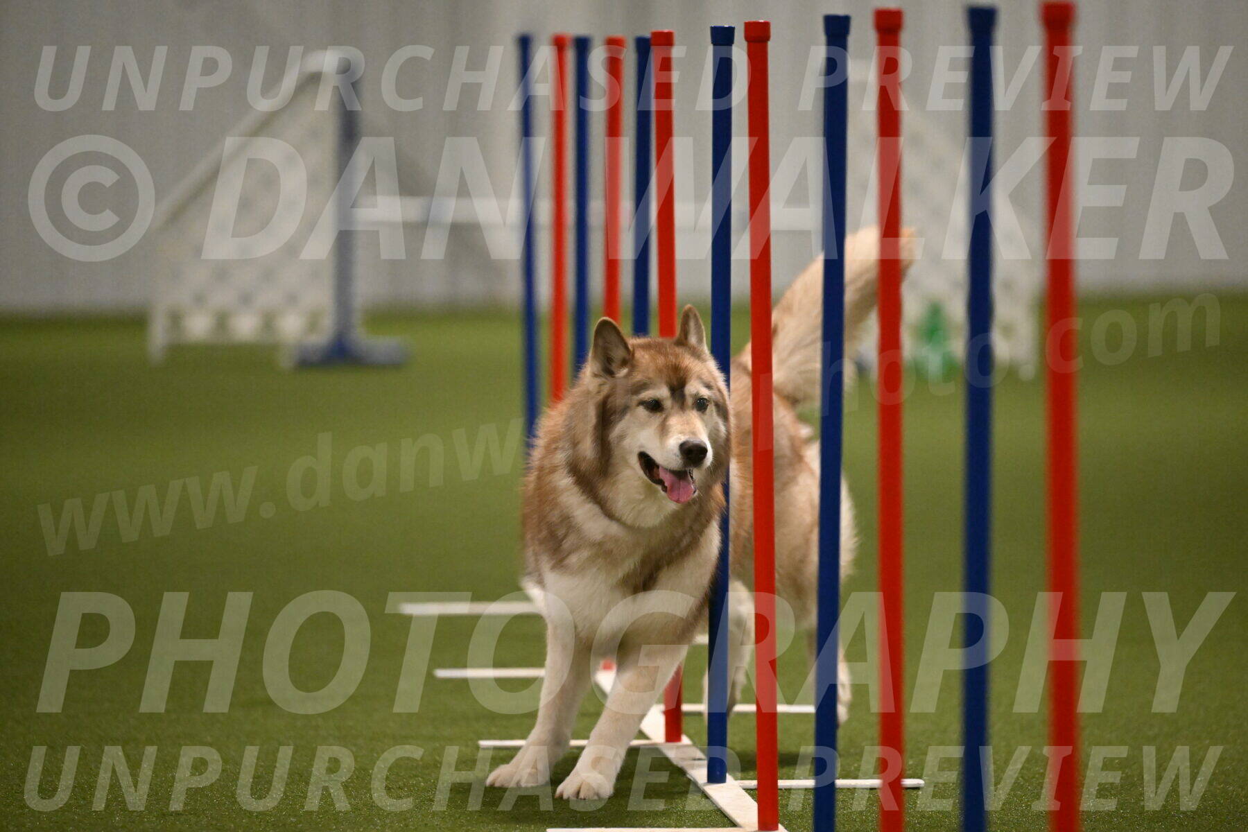 Teva-Jamie-Thompson-04165