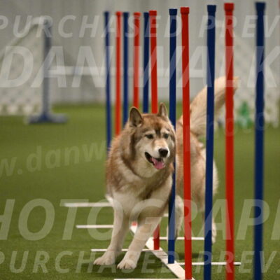 Teva-Jamie-Thompson-04165