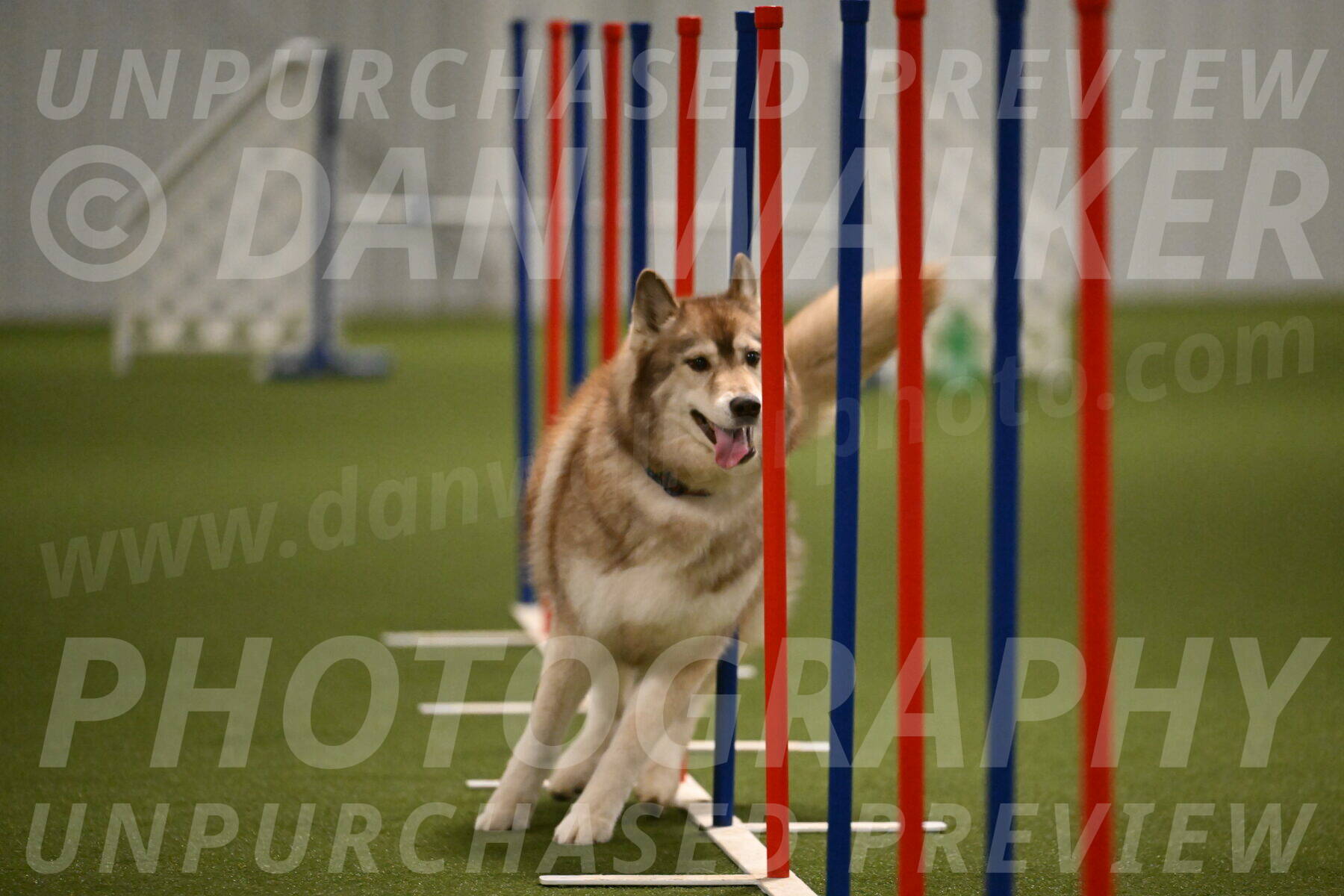 Teva-Jamie-Thompson-04166