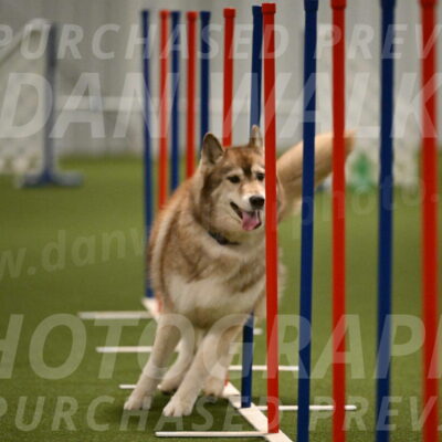 Teva-Jamie-Thompson-04166