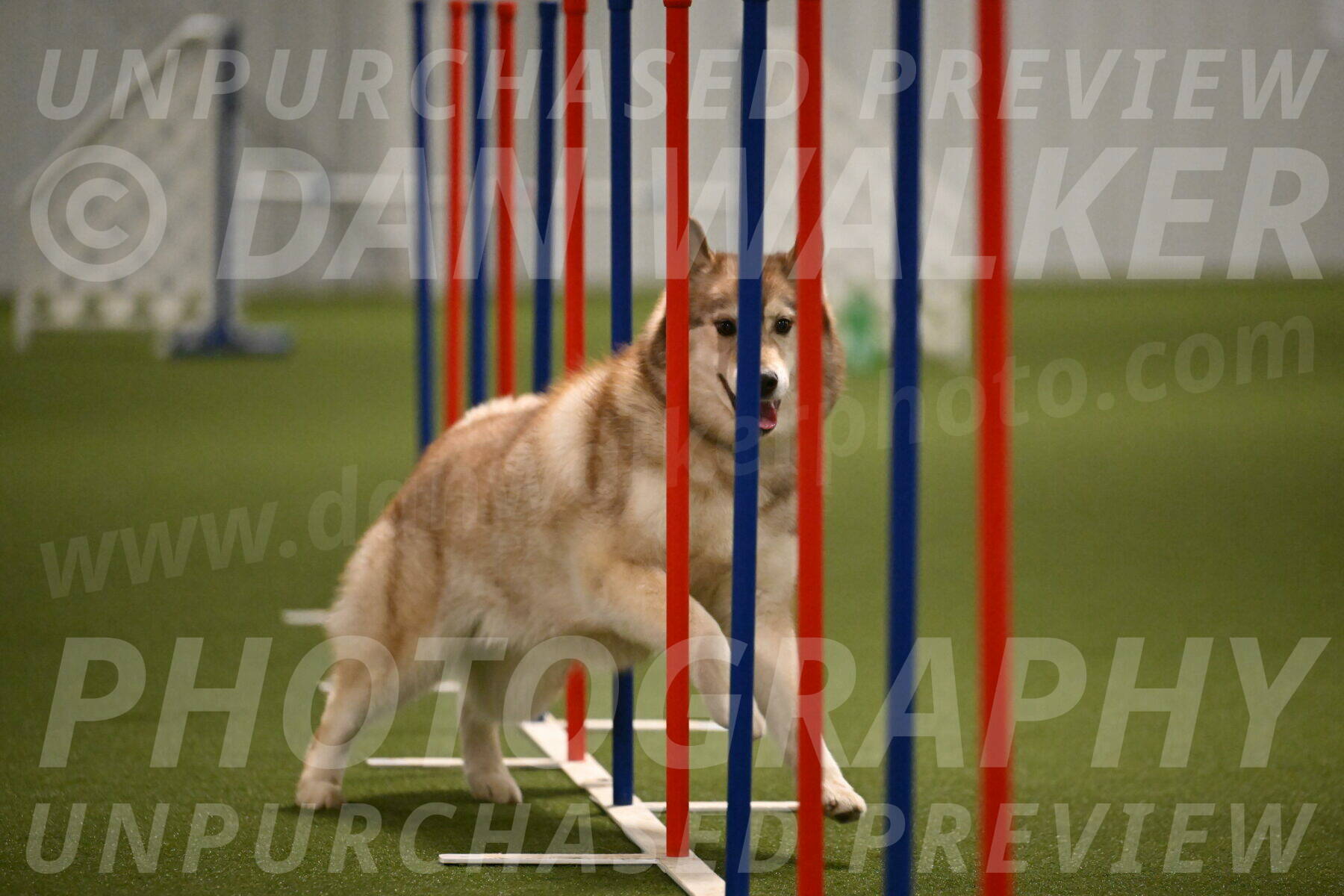 Teva-Jamie-Thompson-04167