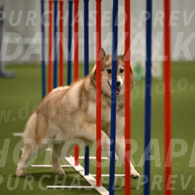 Teva-Jamie-Thompson-04167