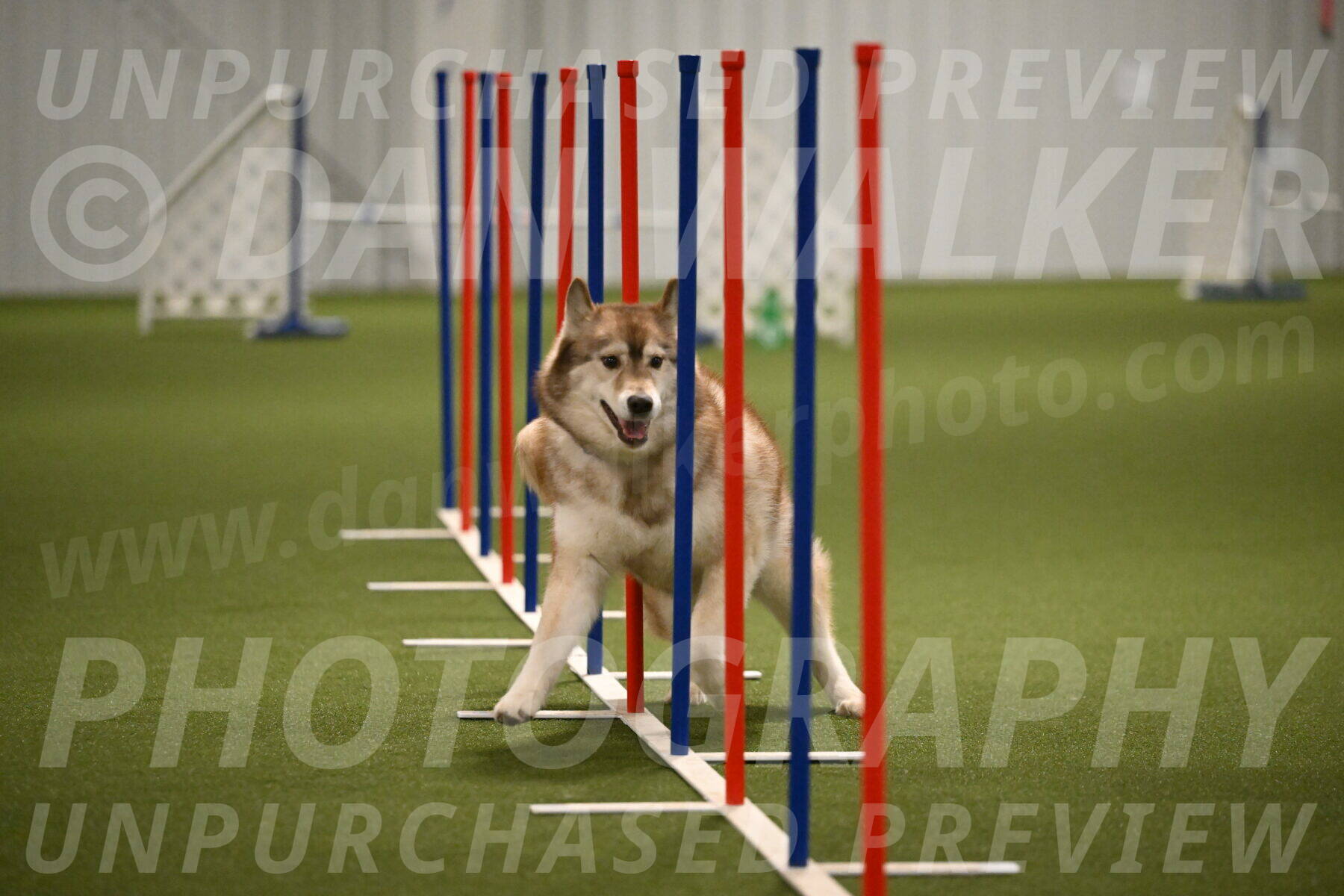 Teva-Jamie-Thompson-04168