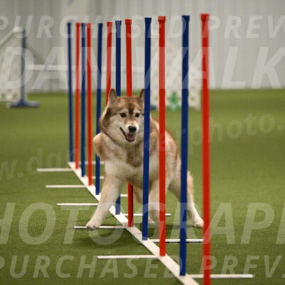 Teva-Jamie-Thompson-04168