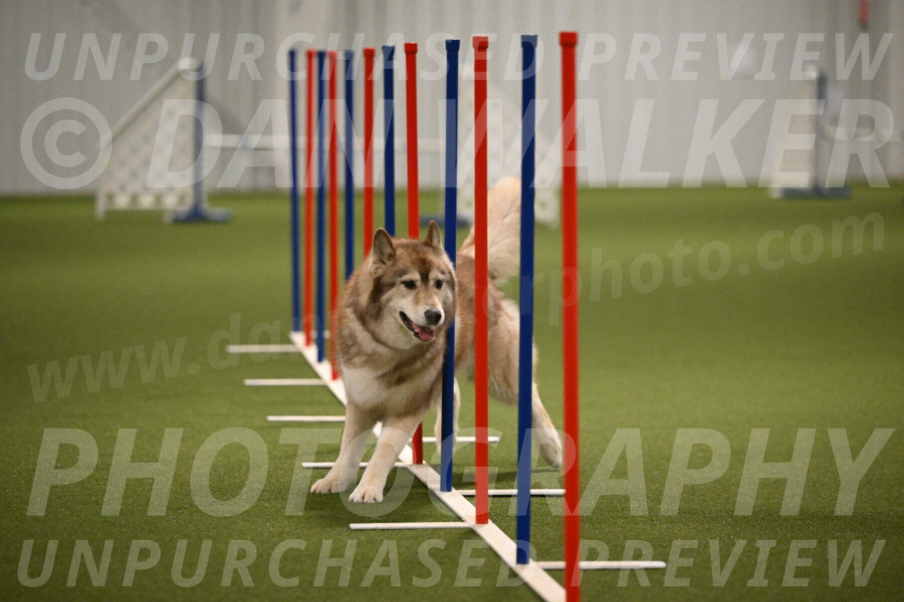 Teva-Jamie-Thompson-04169