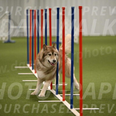 Teva-Jamie-Thompson-04169