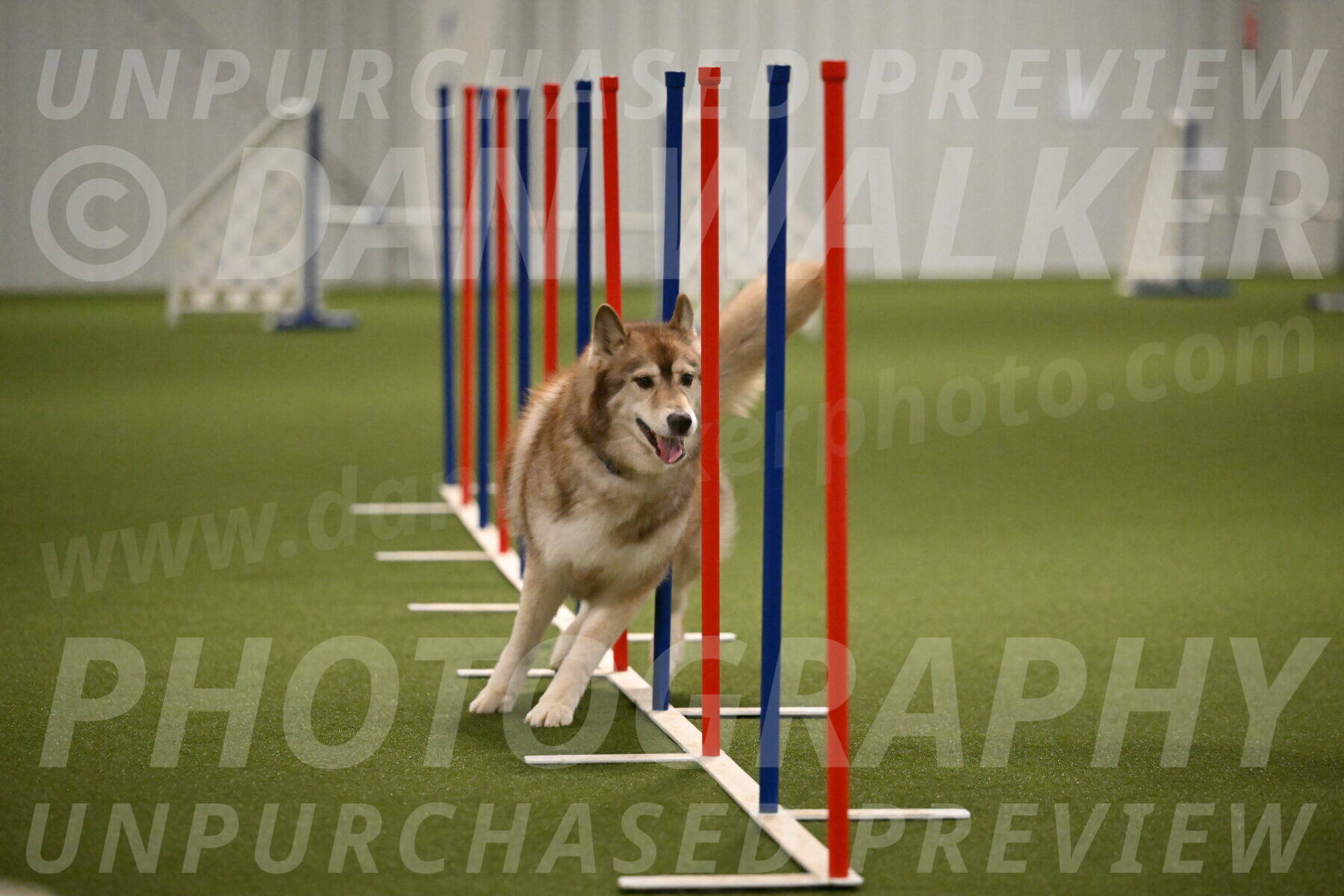 Teva-Jamie-Thompson-04170