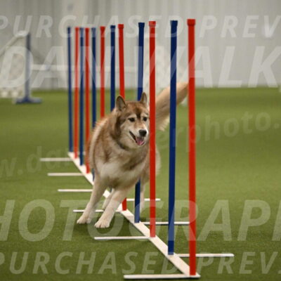 Teva-Jamie-Thompson-04170