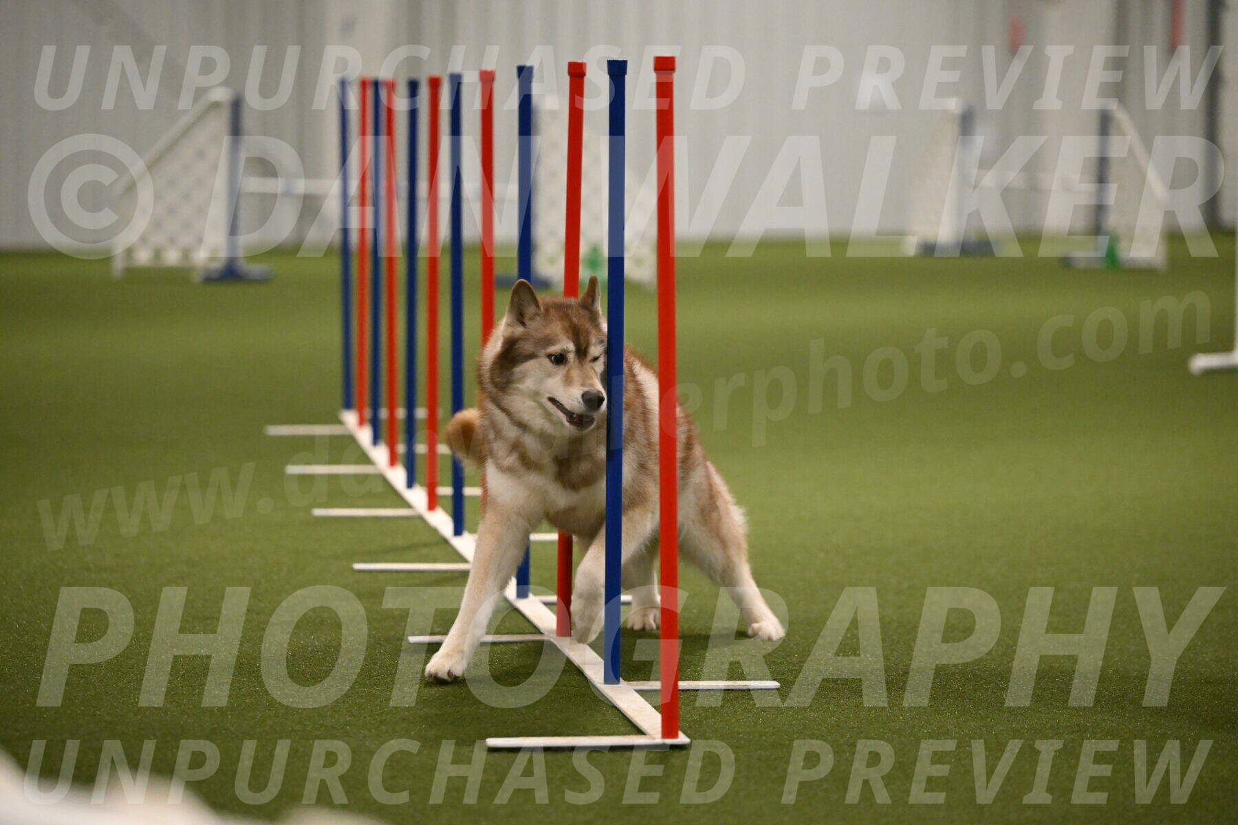 Teva-Jamie-Thompson-04171