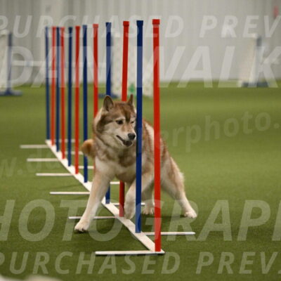 Teva-Jamie-Thompson-04171