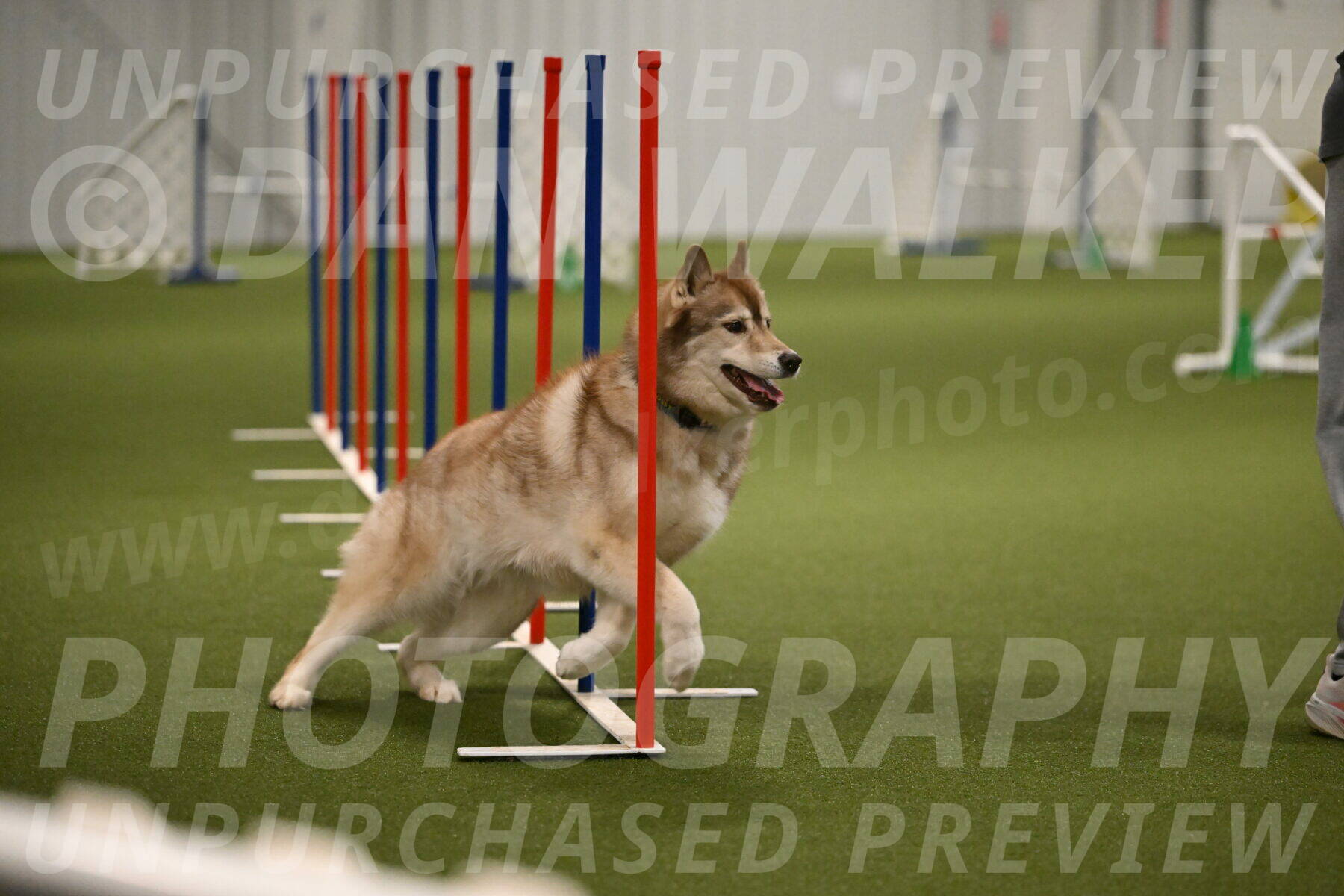 Teva-Jamie-Thompson-04172