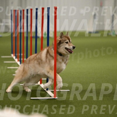 Teva-Jamie-Thompson-04172