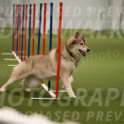 Teva-Jamie-Thompson-04173