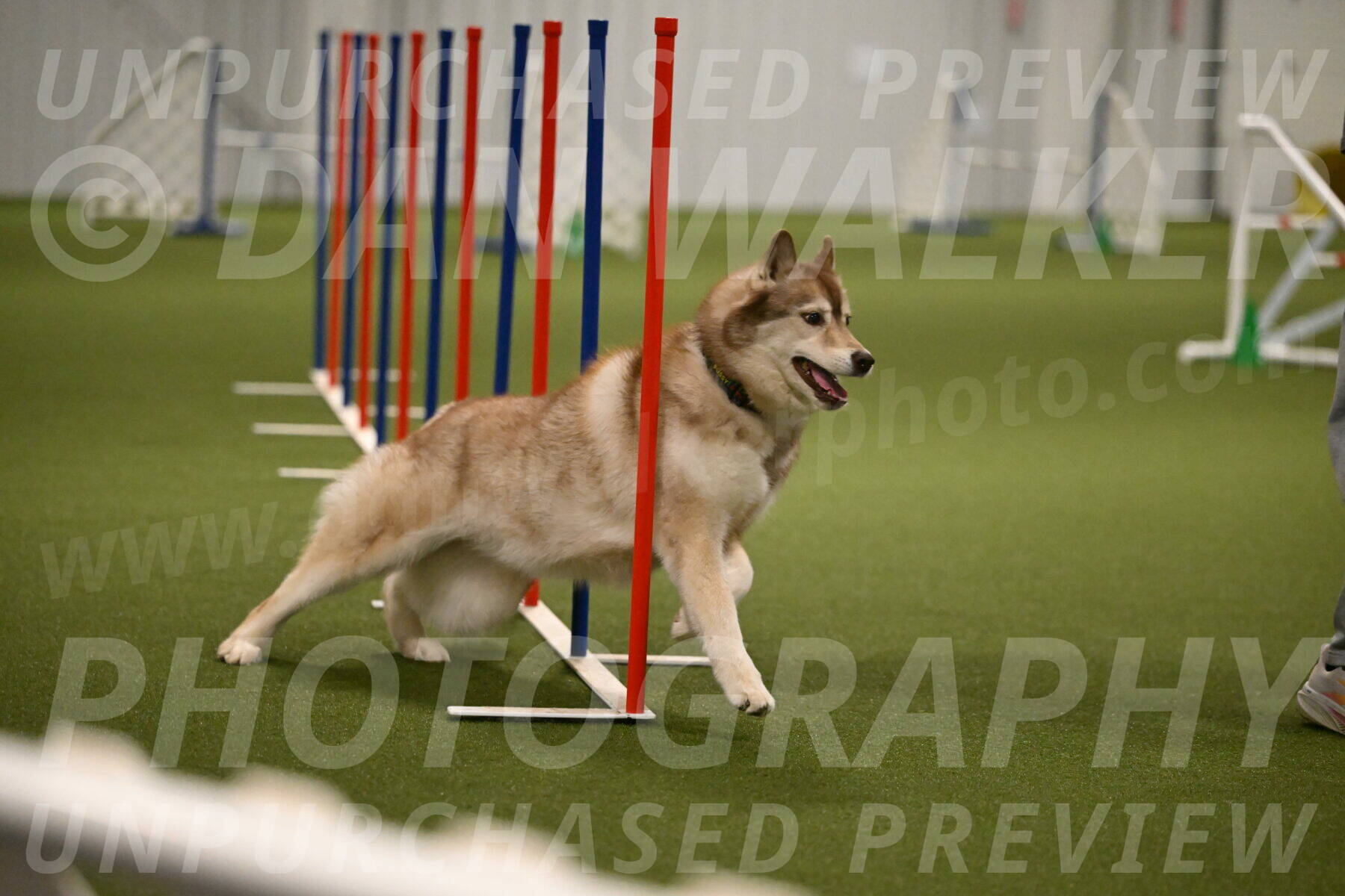 Teva-Jamie-Thompson-04173