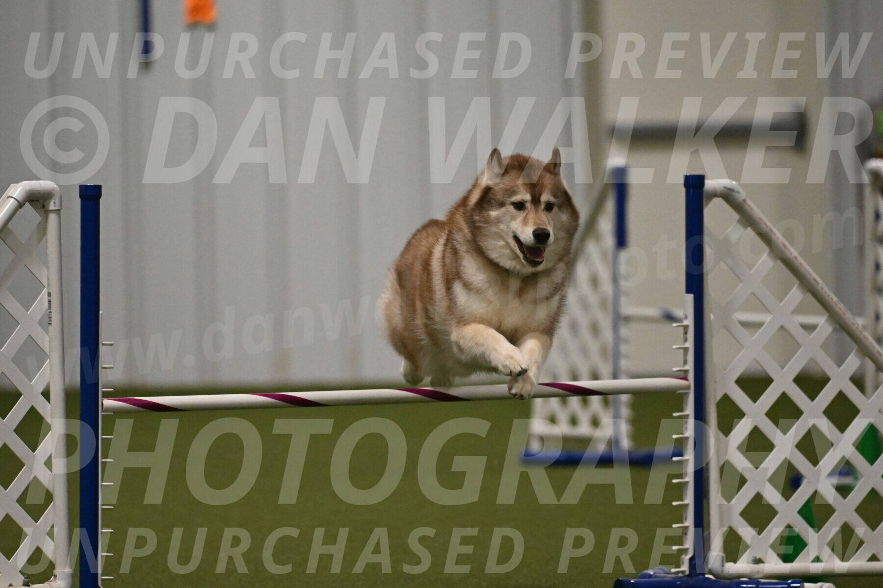 Teva-Jamie-Thompson-04174