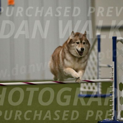 Teva-Jamie-Thompson-04174