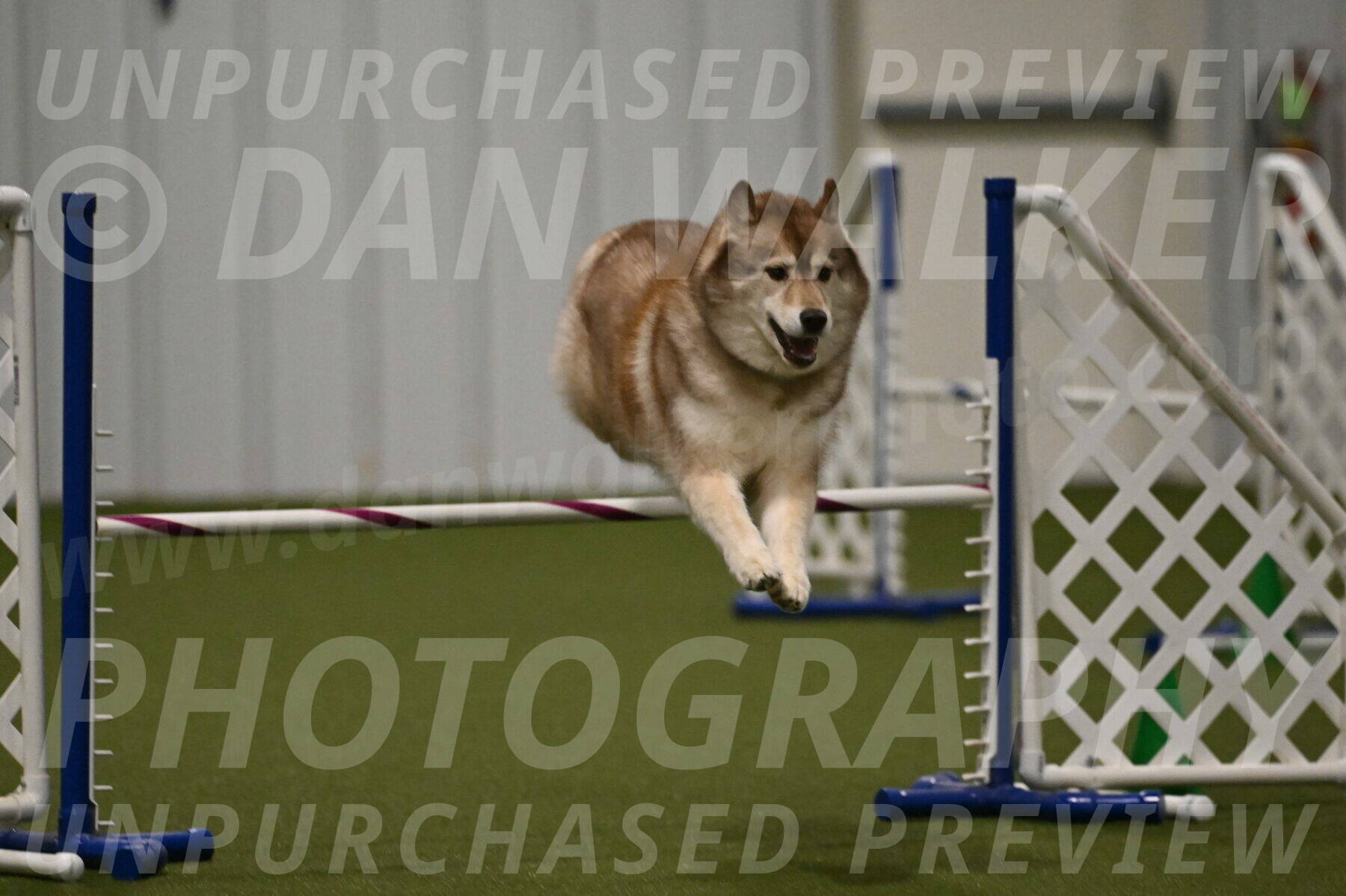 Teva-Jamie-Thompson-04175