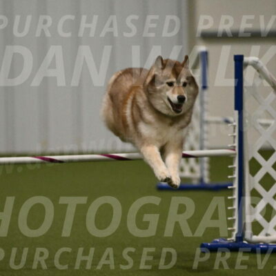 Teva-Jamie-Thompson-04175