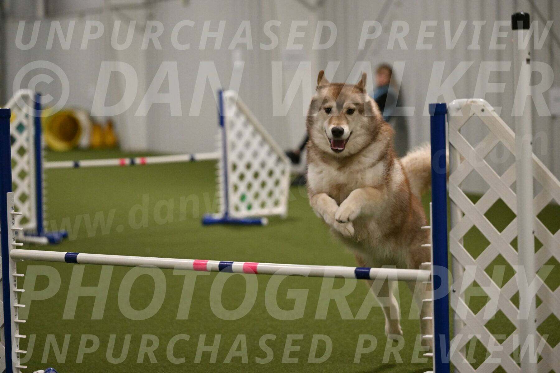 Teva-Jamie-Thompson-04176