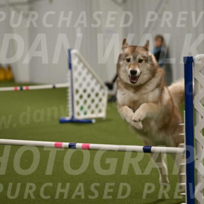 Teva-Jamie-Thompson-04176