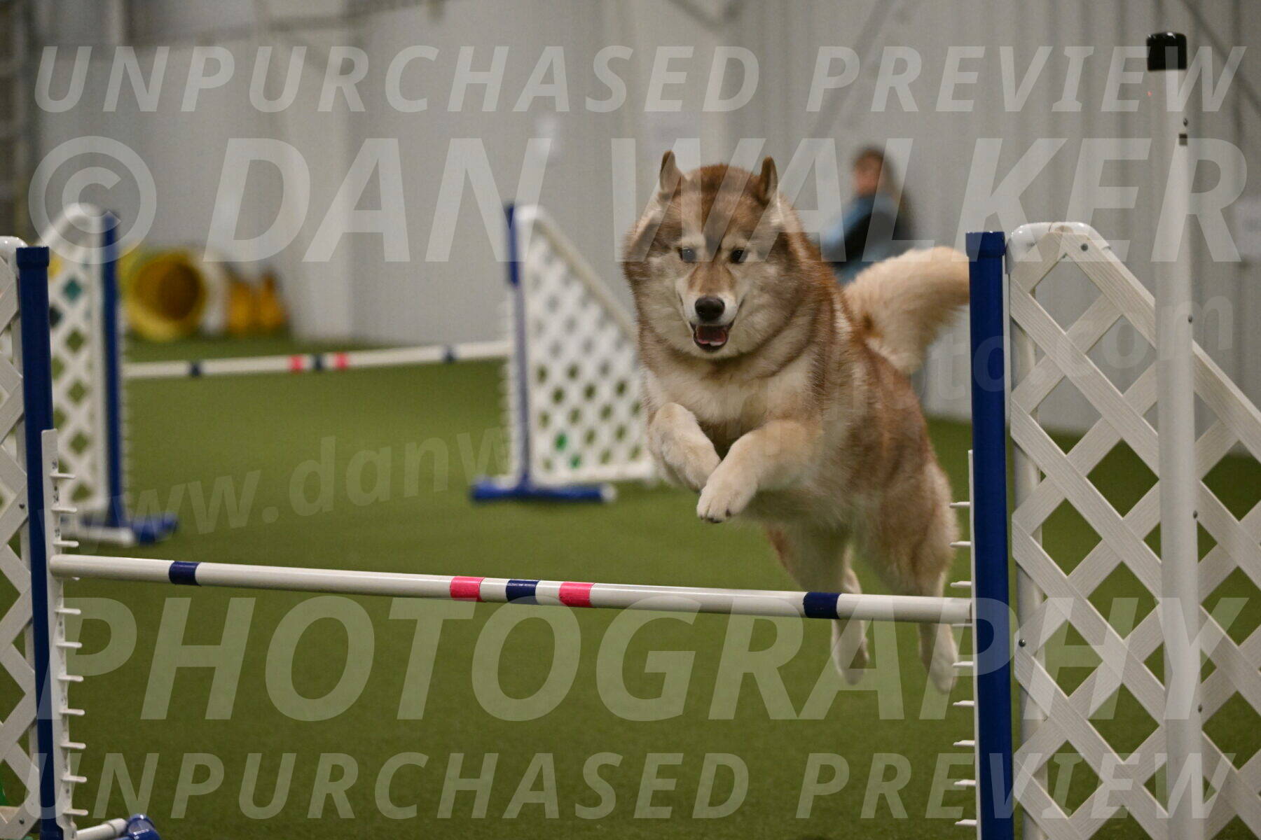 Teva-Jamie-Thompson-04177