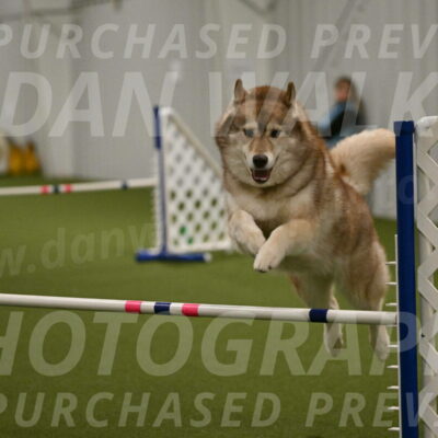 Teva-Jamie-Thompson-04177