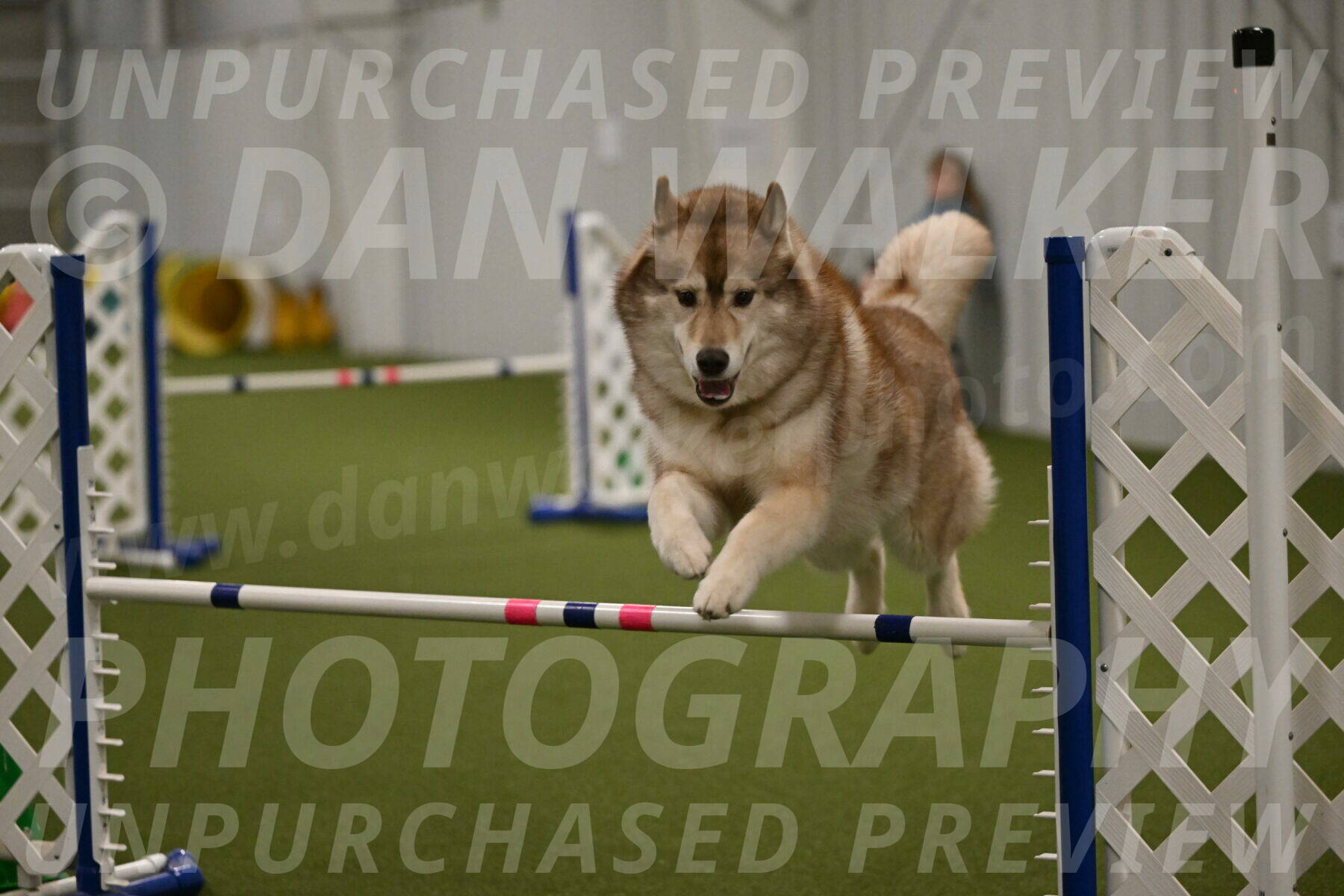 Teva-Jamie-Thompson-04178