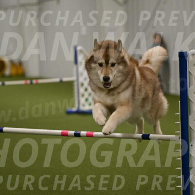 Teva-Jamie-Thompson-04178