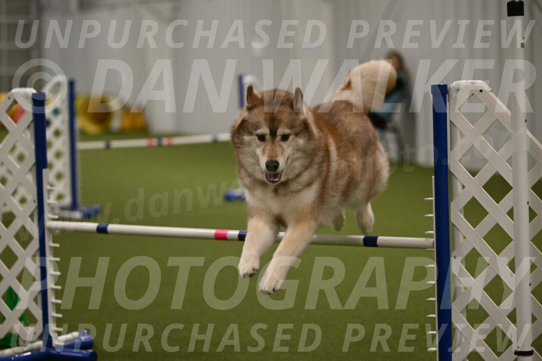 Teva-Jamie-Thompson-04179