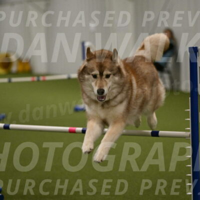 Teva-Jamie-Thompson-04179