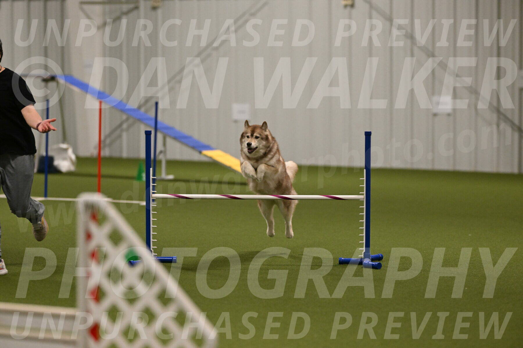 Teva-Jamie-Thompson-04180