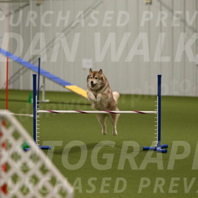 Teva-Jamie-Thompson-04180