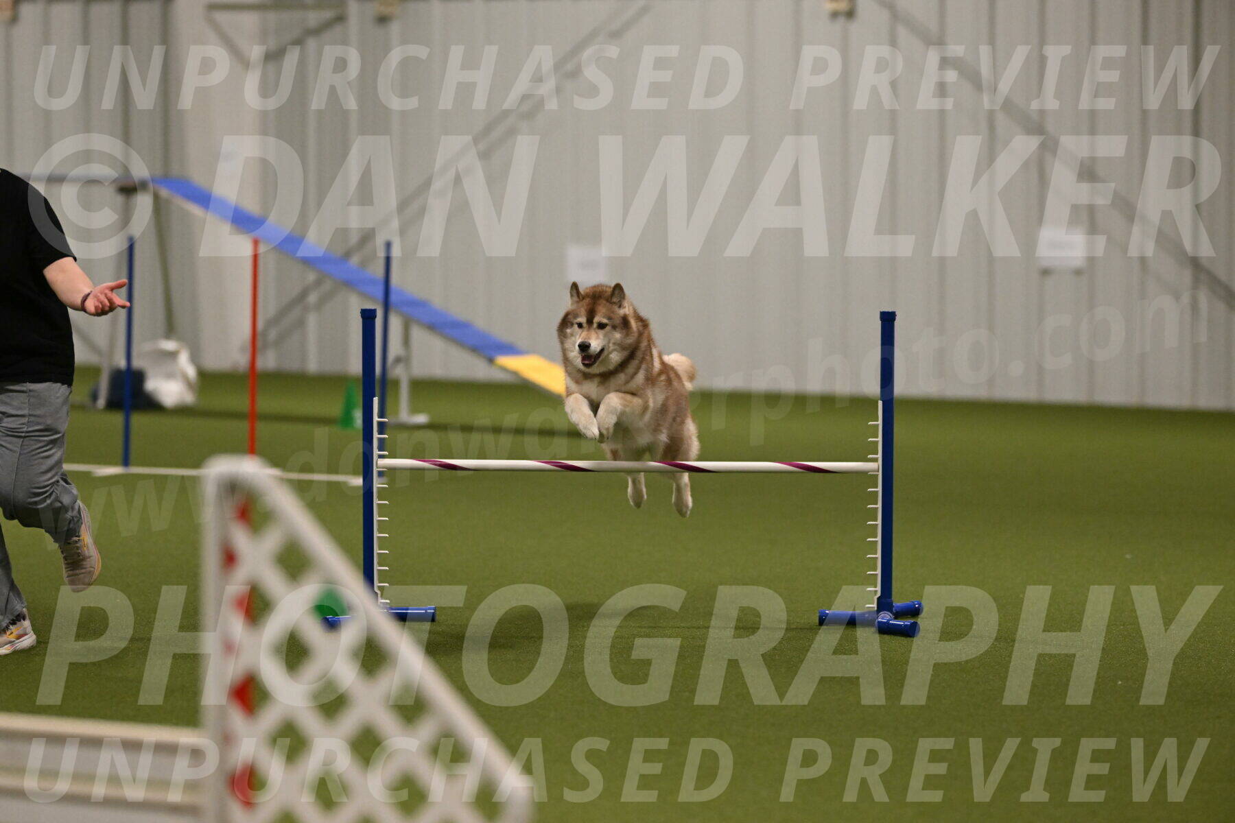 Teva-Jamie-Thompson-04181