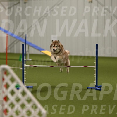 Teva-Jamie-Thompson-04181