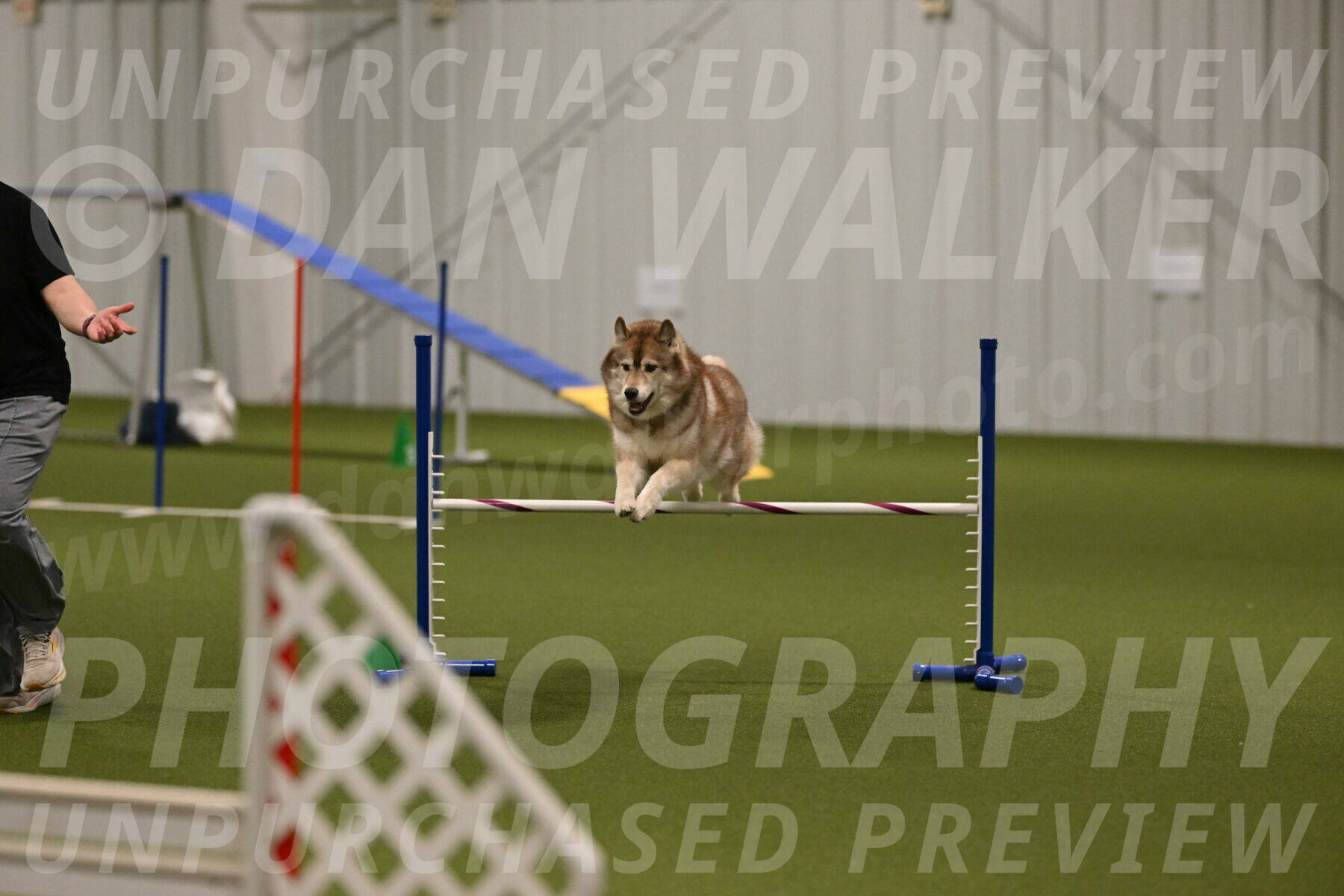 Teva-Jamie-Thompson-04182