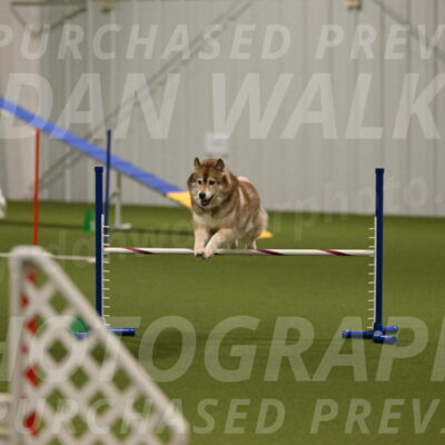 Teva-Jamie-Thompson-04182